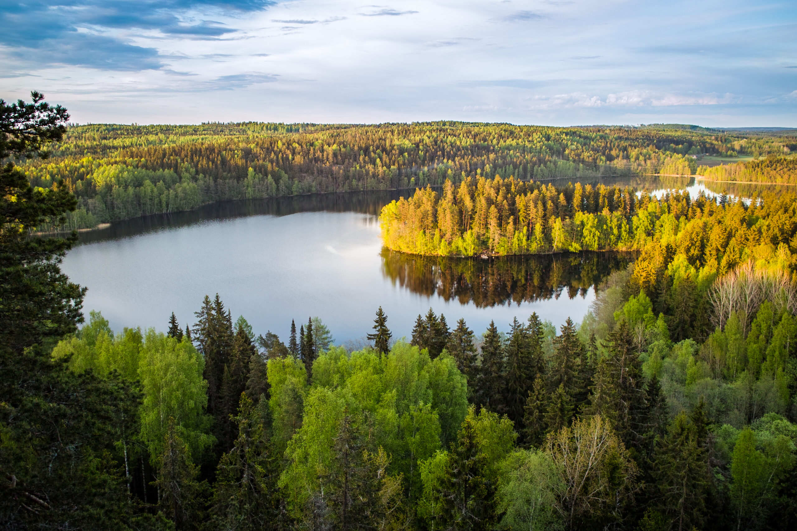 Science-Based Target for Nature - luontokadon ehkäiseminen ja tieteeseen perustuvat tavoitteet